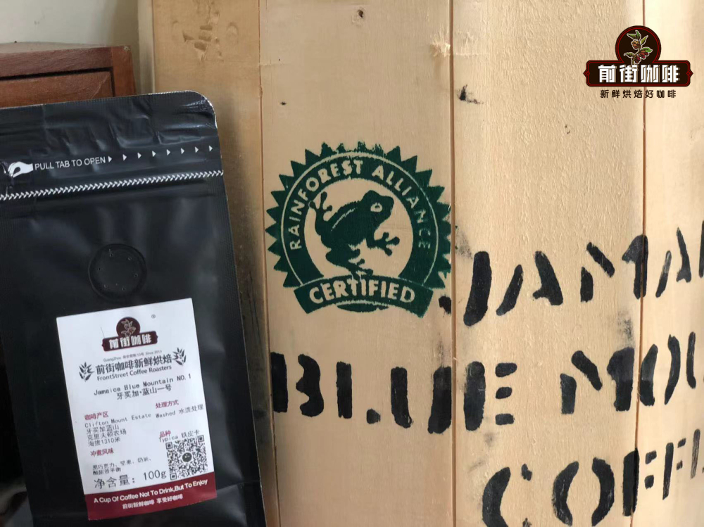 铁皮卡咖啡品种全解析:从风味特点到蓝山为何成为经典代表 铁皮卡咖啡品种全解析:从风味特点到蓝山为何成为经典代表