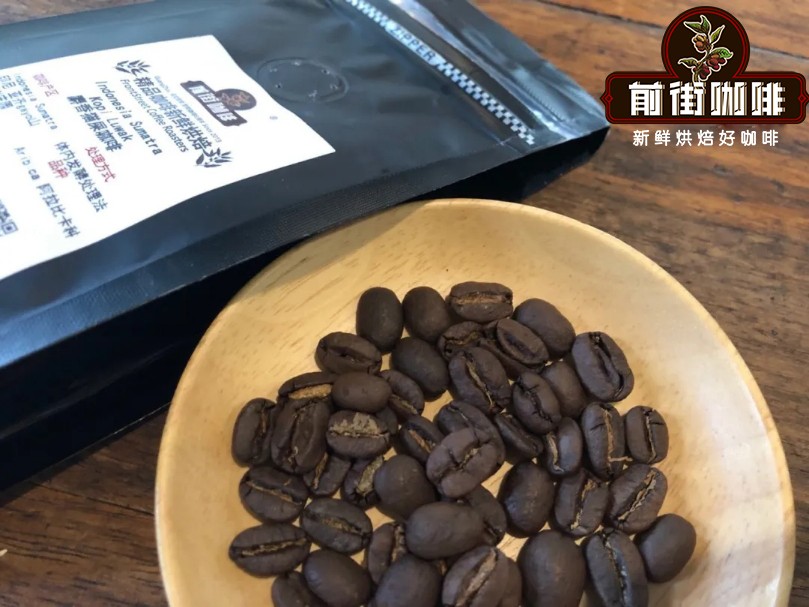 越南猫屎咖啡真假辨析：为何价格低廉，与印尼正宗麝香猫咖啡有何区别