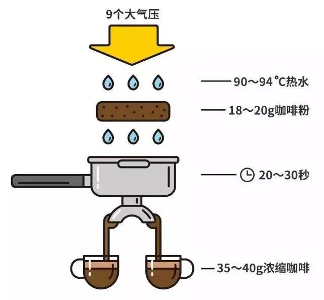 手冲咖啡与美式咖啡差异全解析:浓度甜感、萃取原理及前街选豆建议 手冲咖啡与美式咖啡差异全解析:浓度甜感、萃取原理及前街选豆建议