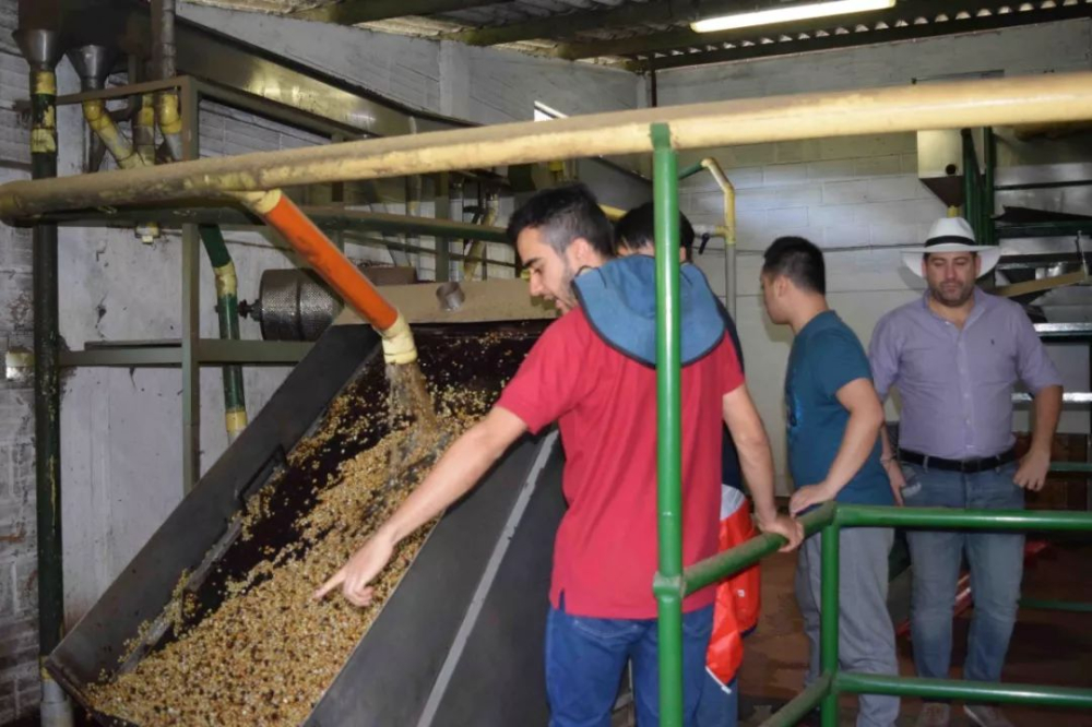 水洗处理法是什么?详解Washed Process咖啡豆的优势与不足 水洗处理法是什么?详解Washed Process咖啡豆的优势与不足