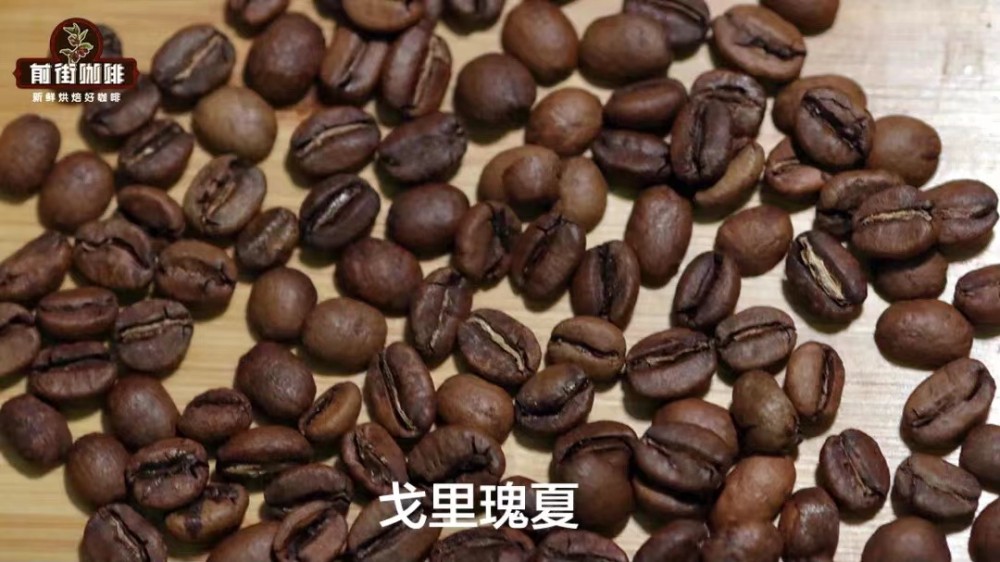 埃塞俄比亚瑰夏村金标瑰夏咖啡豆:戈里瑰夏与瑰夏1931品种全解析 埃塞俄比亚瑰夏村金标瑰夏咖啡豆:戈里瑰夏与瑰夏1931品种全解析