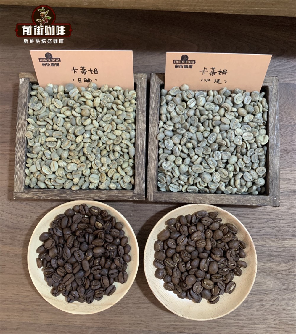 中国咖啡核心产区云南:小粒咖啡风味特征与酸苦平衡之道 中国咖啡核心产区云南:小粒咖啡风味特征与酸苦平衡之道