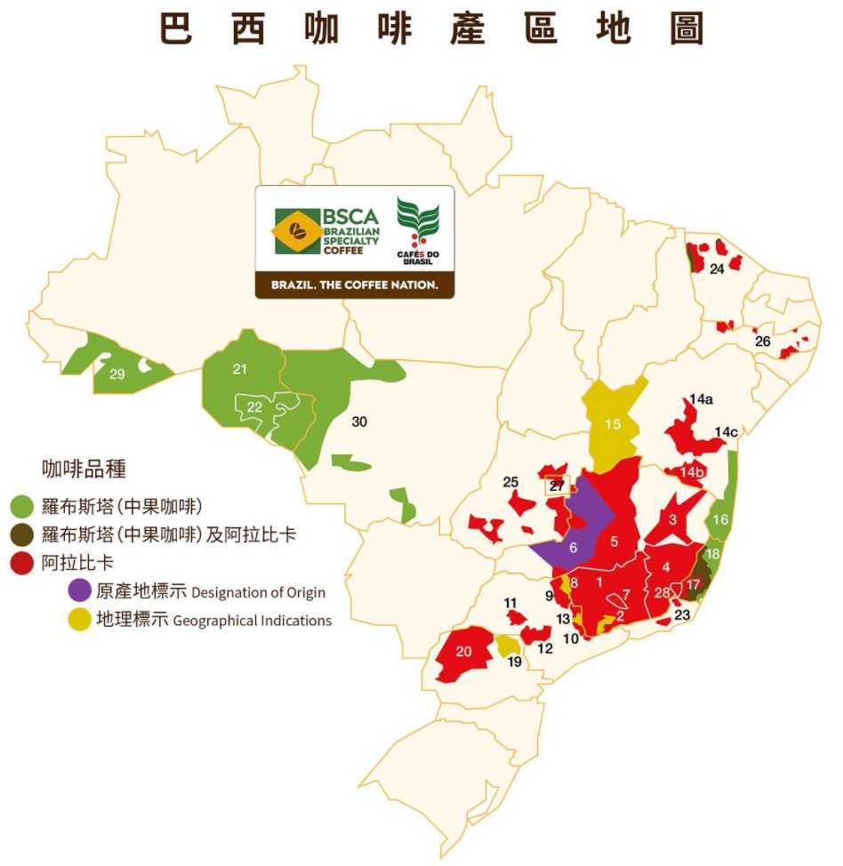 巴西咖啡豆品牌推荐指南：产地风味、品种特色与分级制度全解析
