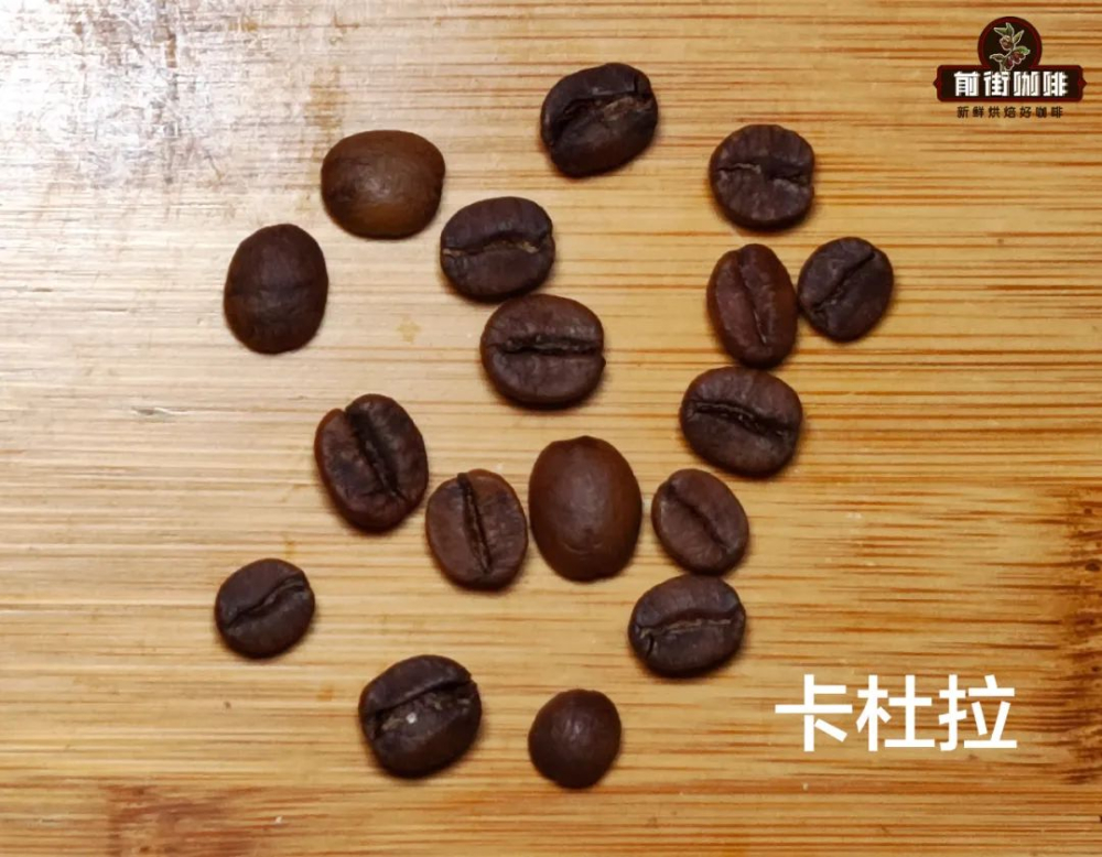 卡杜拉与卡杜艾咖啡品种全解析:起源、特点及前街推荐豆单 卡杜拉与卡杜艾咖啡品种全解析:起源、特点及前街推荐豆单