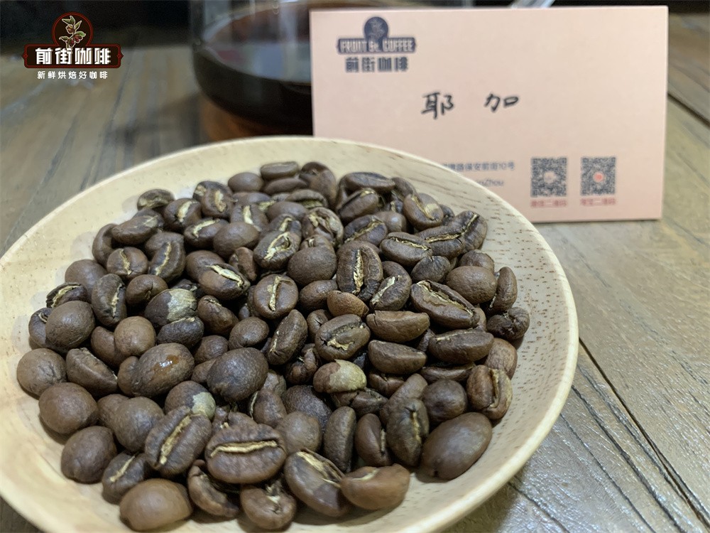 耶加雪菲属于阿拉比卡咖啡吗?详解其品种渊源与风味特点 耶加雪菲属于阿拉比卡咖啡吗?详解其品种渊源与风味特点