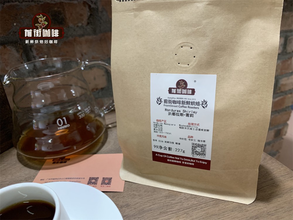 在家自制冰滴咖啡全攻略：粉水比、研磨度与单品豆选择指南