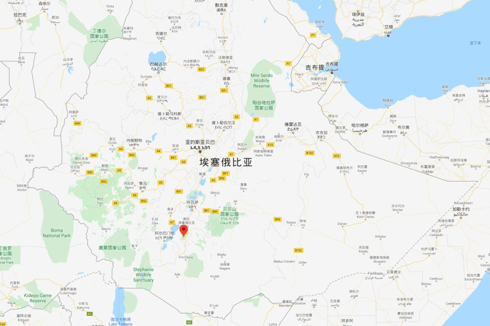 埃塞西达摩产区咖啡风味全解析:水洗日晒差异、古吉花魁与阿尔西特色 埃塞西达摩产区咖啡风味全解析:水洗日晒差异、古吉花魁与阿尔西特色