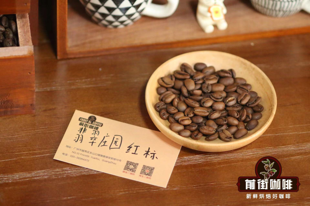 全球十大风味出众的咖啡品种盘点:从巴拿马瑰夏到波多黎各尤克特选 全球十大风味出众的咖啡品种盘点:从巴拿马瑰夏到波多黎各尤克特选