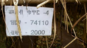 埃塞俄比亚74110数字品种：抗咖啡浆果病的起源与风味特征
