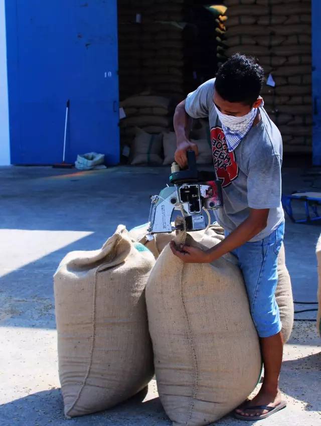 曼特宁究竟指产区还是品种?前街详解黄金曼特宁分级与风味特色 曼特宁究竟指产区还是品种?前街详解黄金曼特宁分级与风味特色