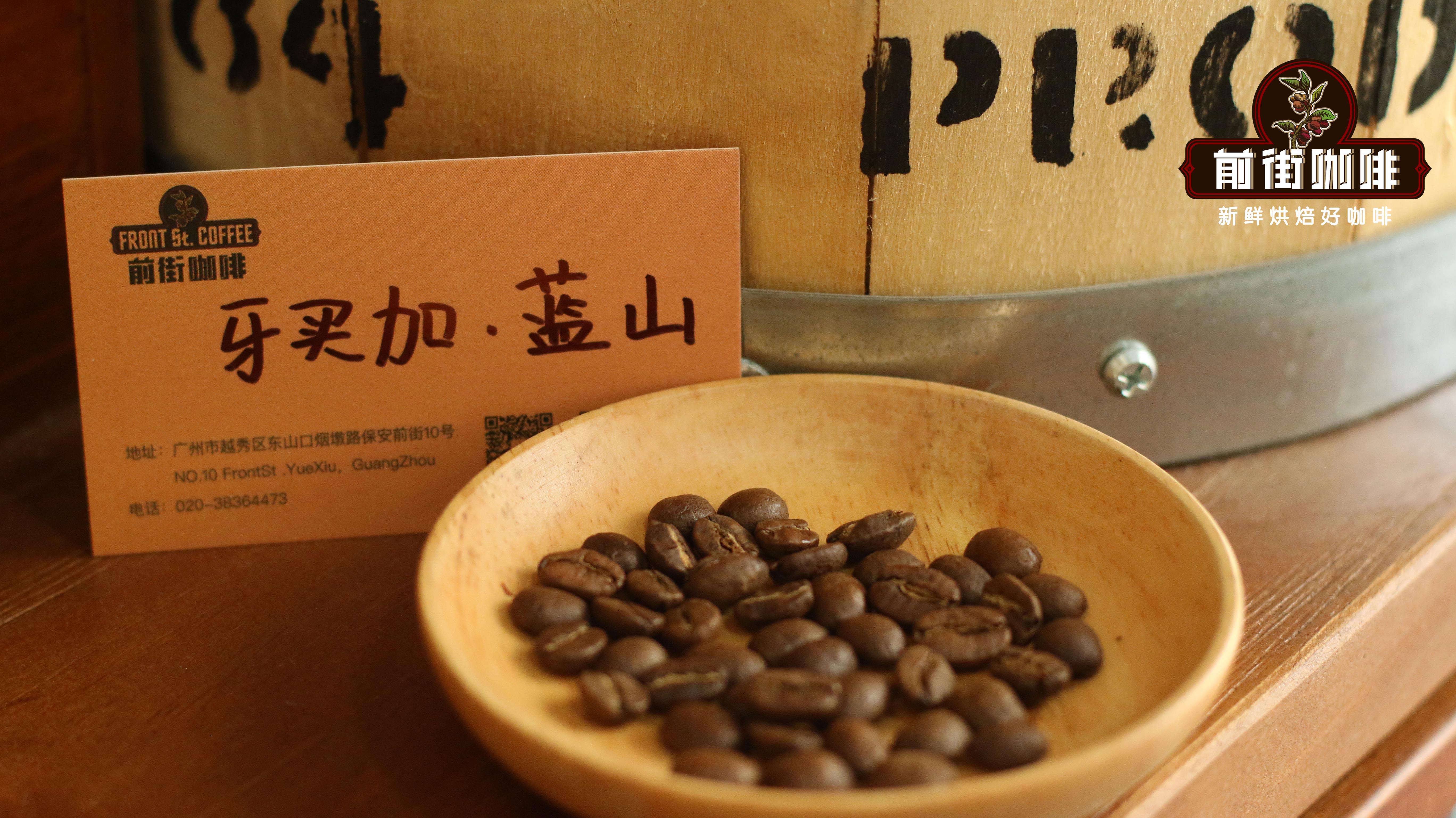 牙买加蓝山一号咖啡豆风味特征、研磨参数与价格成因全面解析 牙买加蓝山一号咖啡豆风味特征、研磨参数与价格成因全面解析