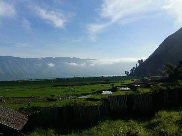 曼特宁与蓝山咖啡豆品种差异解析:从产地处理法到杯测手冲风味对比 曼特宁与蓝山咖啡豆品种差异解析:从产地处理法到杯测手冲风味对比