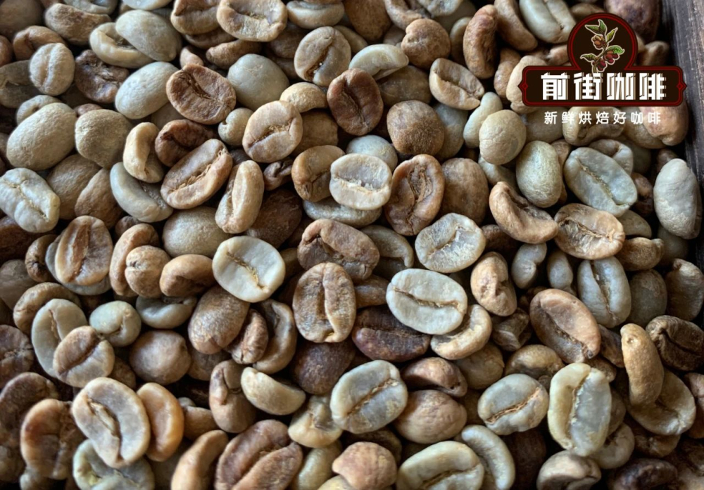 哥斯达黎加瑰夏双庄园对比:小烛与米拉苏的风味故事及品种特性解析 哥斯达黎加瑰夏双庄园对比:小烛与米拉苏的风味故事及品种特性解析