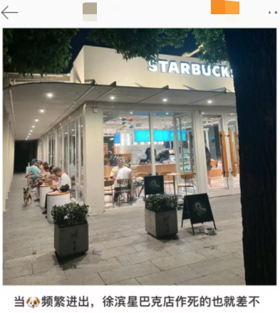 星巴克宠物友好门店引发争议:第三空间定位与顾客体验如何平衡 星巴克宠物友好门店引发争议:第三空间定位与顾客体验如何平衡