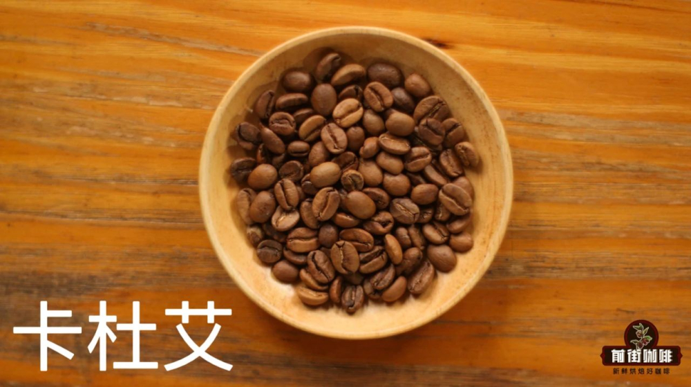 巴拿马翡翠庄园钻石山咖啡豆:卡杜拉与卡杜艾品种故事及风味特点全解析 巴拿马翡翠庄园钻石山咖啡豆:卡杜拉与卡杜艾品种故事及风味特点全解析