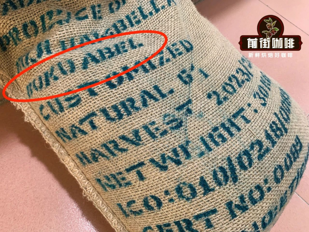花魁咖啡豆命名渊源与风味故事:它究竟是不是瑰夏?产区品种全解析 花魁咖啡豆命名渊源与风味故事:它究竟是不是瑰夏?产区品种全解析