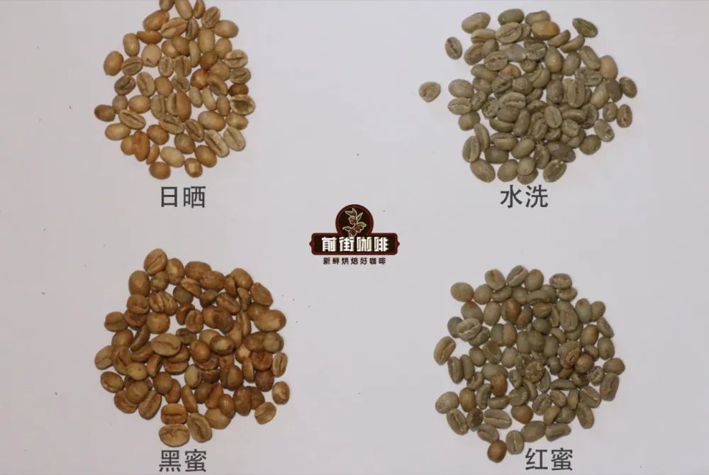 埃塞西达摩产区咖啡风味全解析:水洗日晒差异、古吉花魁与阿尔西特色 埃塞西达摩产区咖啡风味全解析:水洗日晒差异、古吉花魁与阿尔西特色