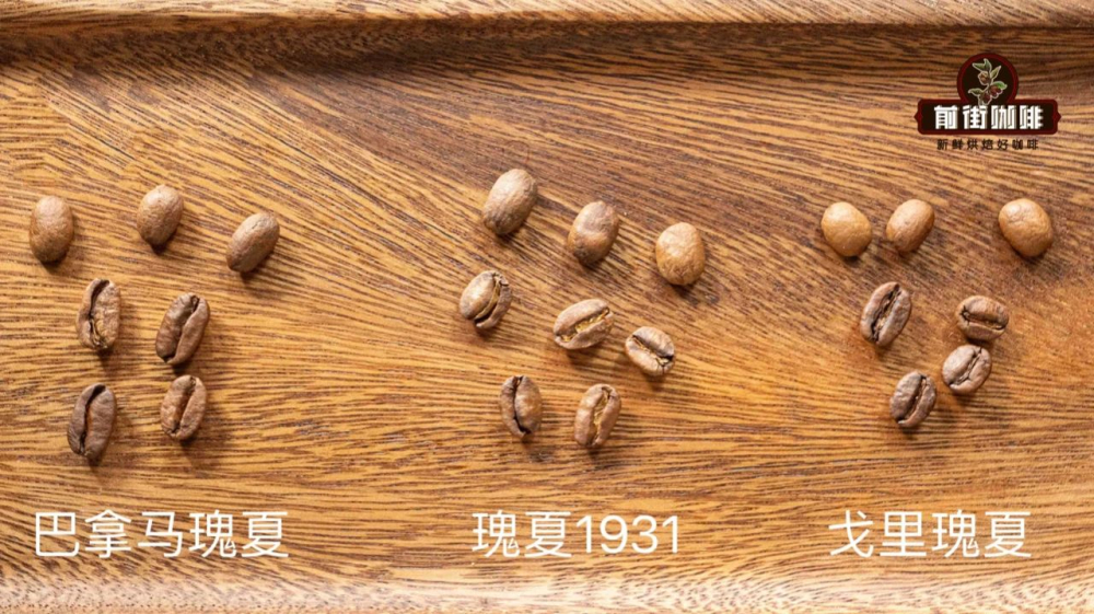 巴拿马翡翠庄园水洗与日晒瑰夏对比：风味差异、红绿标区别及冲煮要点