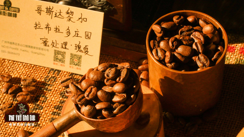 哥斯达黎加咖啡豆风味解析:蜜处理极硬豆手冲技巧与巨石庄园蓝莓 哥斯达黎加咖啡豆风味解析:蜜处理极硬豆手冲技巧与巨石庄园蓝莓