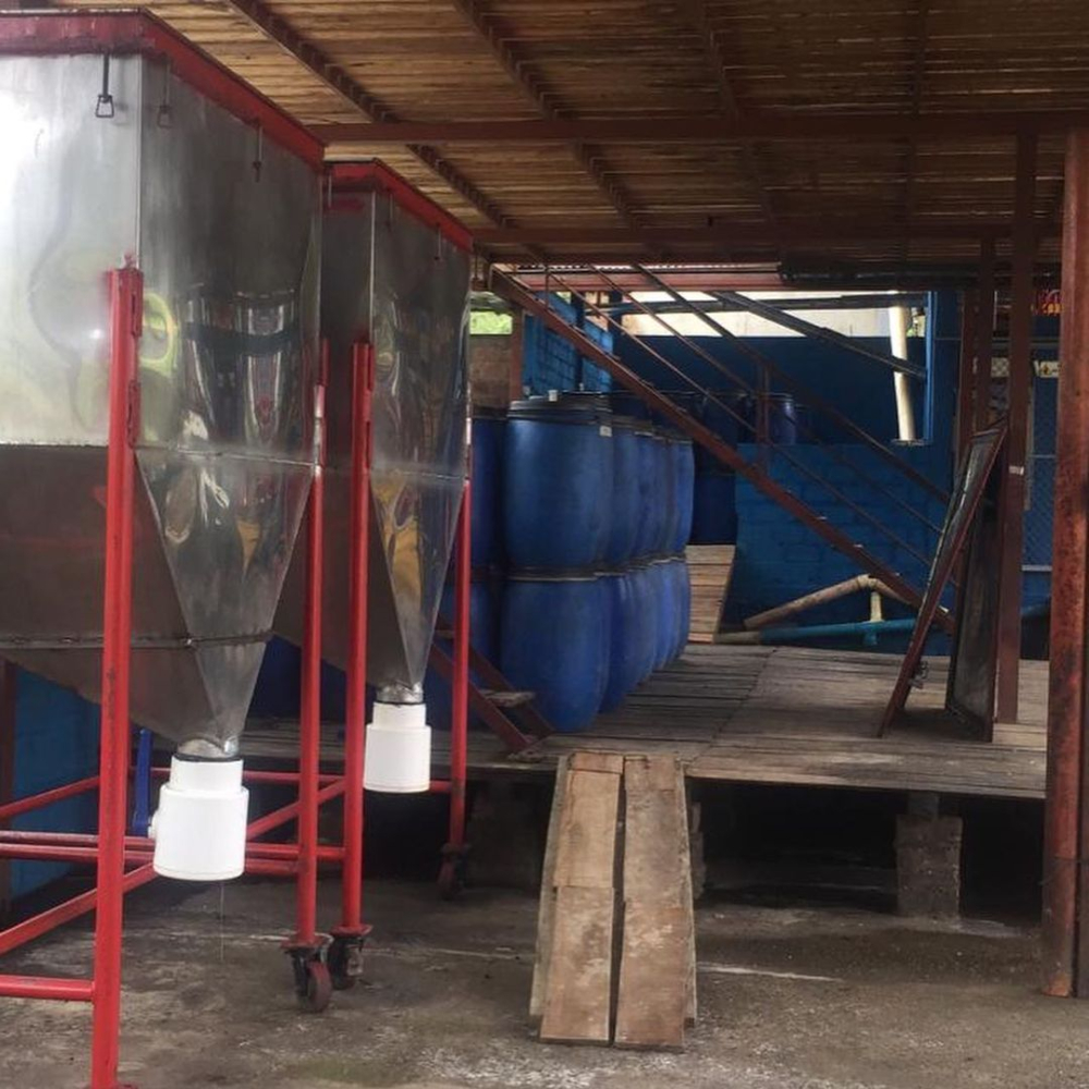 酵素水洗处理法深度解析：从厌氧发酵工艺到玫瑰谷风味