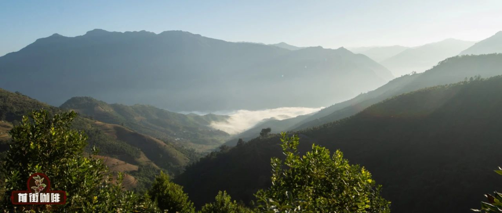 云南咖啡产区分布与品种解析:哪个产地的小粒咖啡更值得品尝 云南咖啡产区分布与品种解析:哪个产地的小粒咖啡更值得品尝
