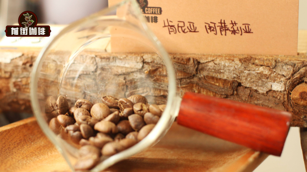 肯尼亚AB级咖啡豆风味剖析:K72水洗工艺与SL系列品种全解读 肯尼亚AB级咖啡豆风味剖析:K72水洗工艺与SL系列品种全解读