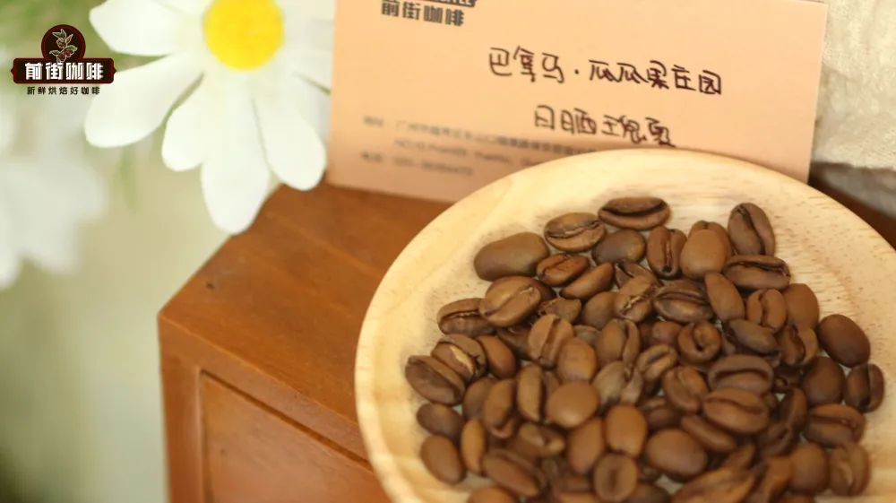 牙买加蓝山一号手冲技法与风味解析：哪些人适合饮用及正宗辨别要点