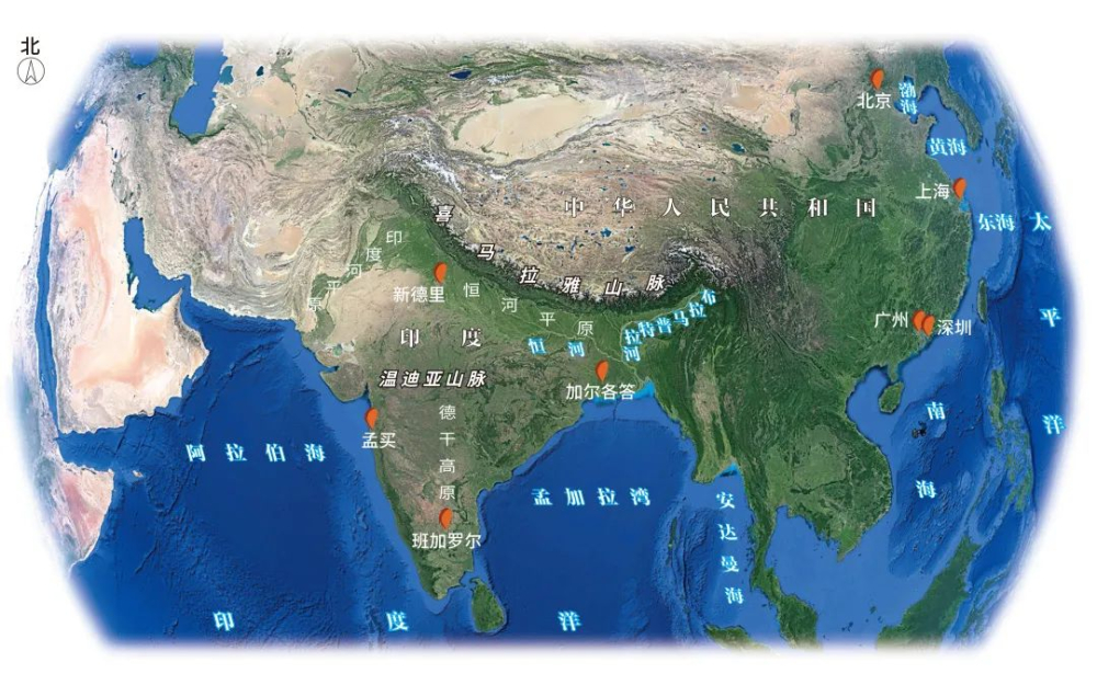 印度咖啡产地探秘：从罗布斯塔到季风马拉巴的种植品种全解析