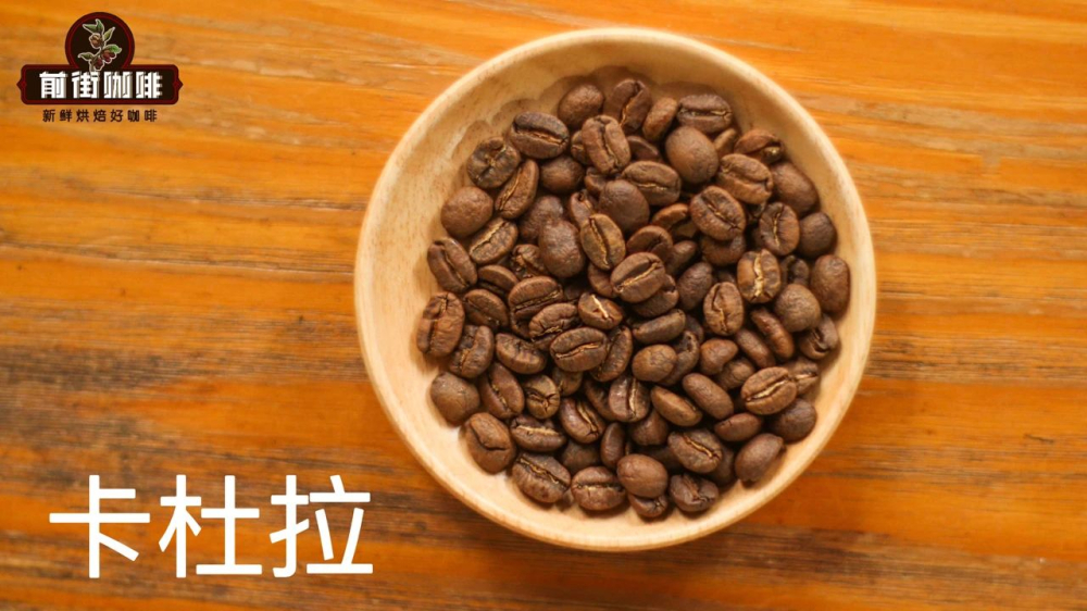 卡杜拉咖啡品种全解析:从波旁变异到中美洲主力,风味特征与代表豆款介绍 卡杜拉咖啡品种全解析:从波旁变异到中美洲主力,风味特征与代表豆款介绍