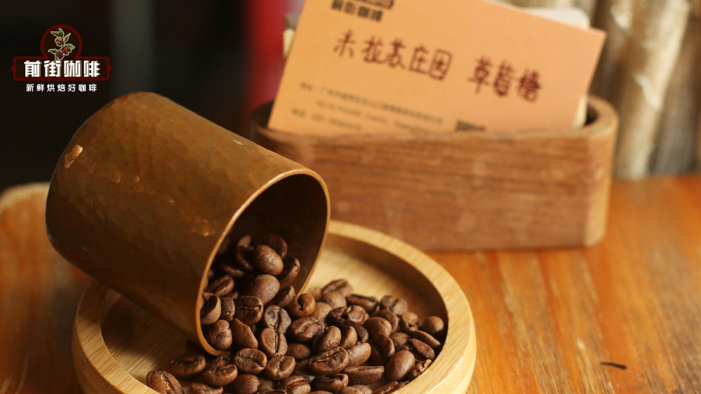 瑰夏咖啡入门推荐:品种特性、等级划分与高性价比选择解析 瑰夏咖啡入门推荐:品种特性、等级划分与高性价比选择解析