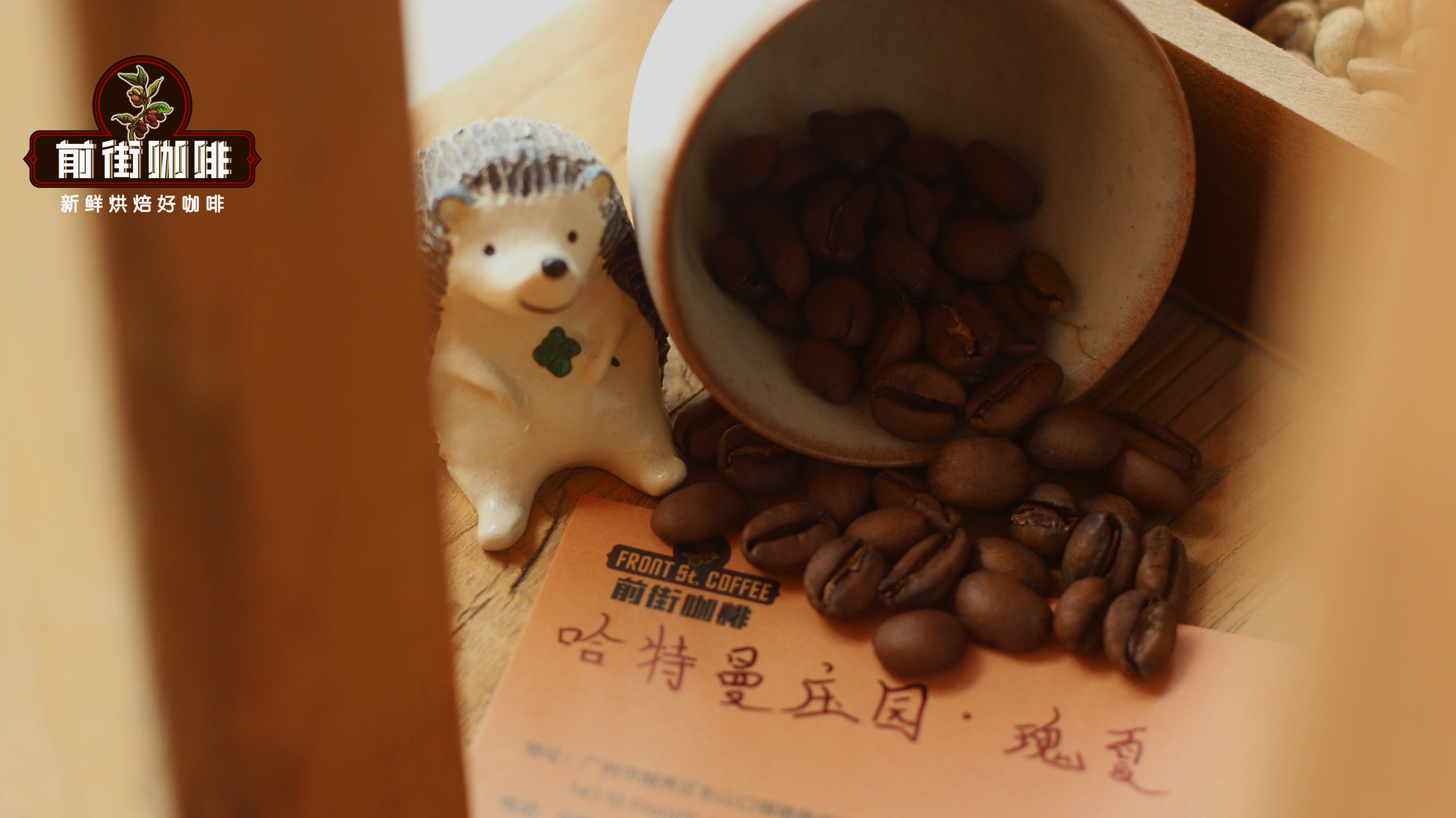 拉丁美洲咖啡产区全解析:从巴西到危地马拉的品种、处理法与风味特征 拉丁美洲咖啡产区全解析:从巴西到危地马拉的品种、处理法与风味特征
