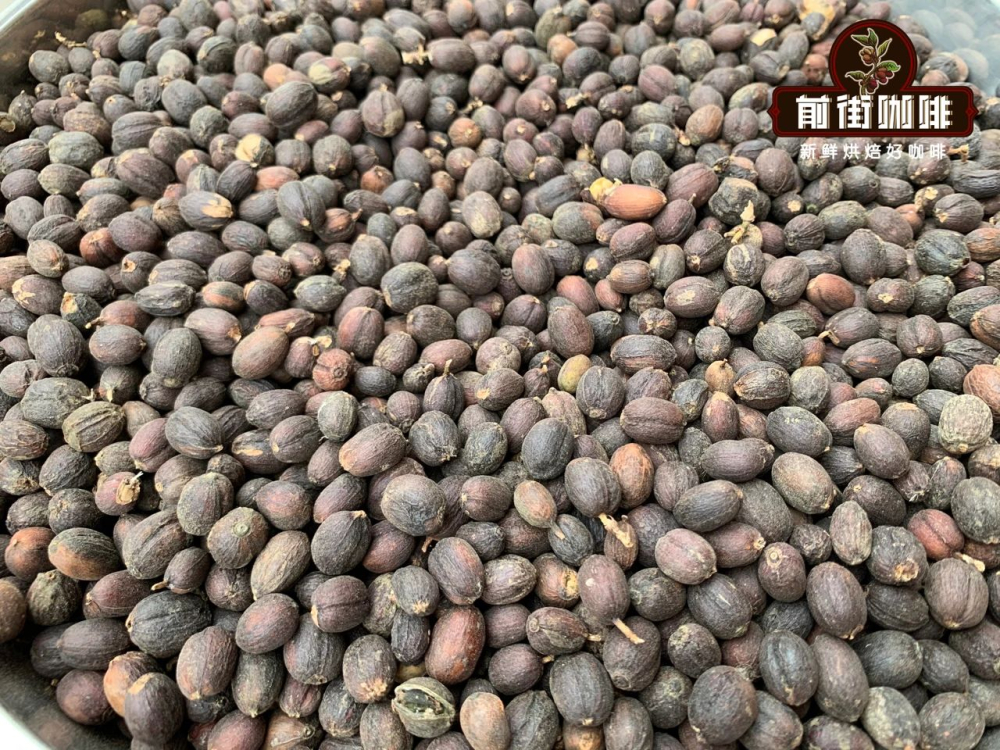 云南铁皮卡咖啡是什么品种?临沧产区精品日晒豆风味与冲煮全解析 云南铁皮卡咖啡是什么品种?临沧产区精品日晒豆风味与冲煮全解析
