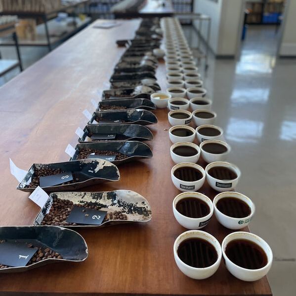 肯尼亚AA级咖啡豆精选推荐:AA分级标准与FAQ杯测品质含义解析 肯尼亚AA级咖啡豆精选推荐:AA分级标准与FAQ杯测品质含义解析