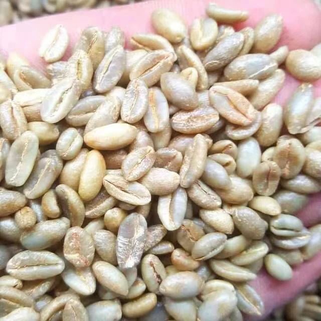 低因咖啡全面解析:哥伦比亚蕙兰产区的瑞士水处理工艺与风味特征 低因咖啡全面解析:哥伦比亚蕙兰产区的瑞士水处理工艺与风味特征
