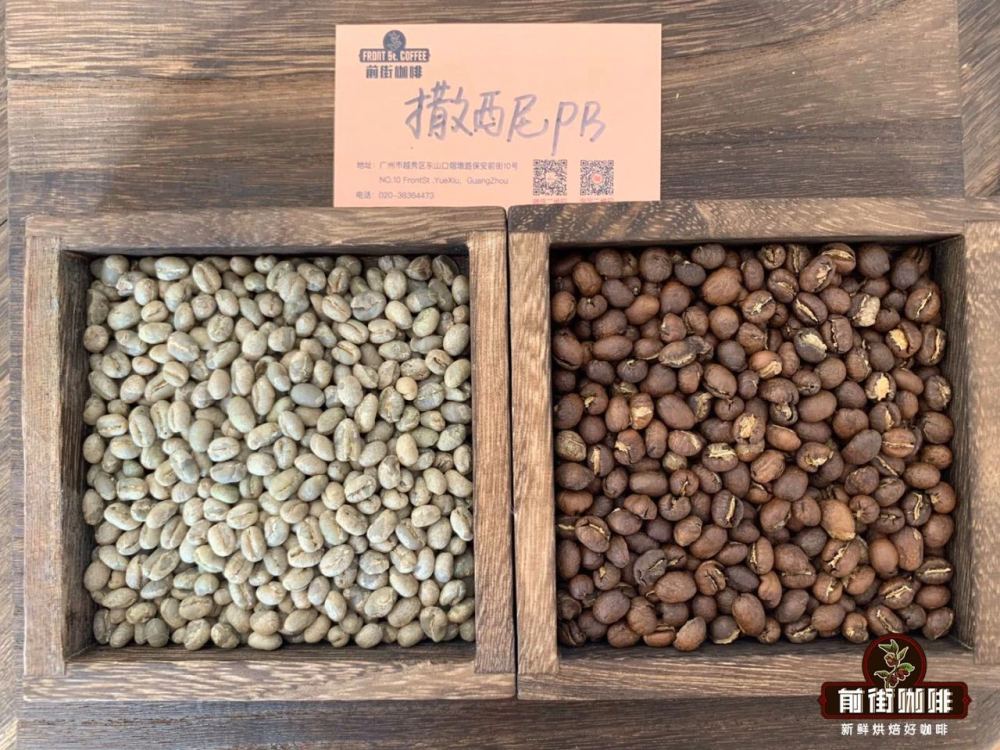 肯尼亚PB圆豆风味解析:从分级制度到SL28品种与V60冲煮全指南 肯尼亚PB圆豆风味解析:从分级制度到SL28品种与V60冲煮全指南