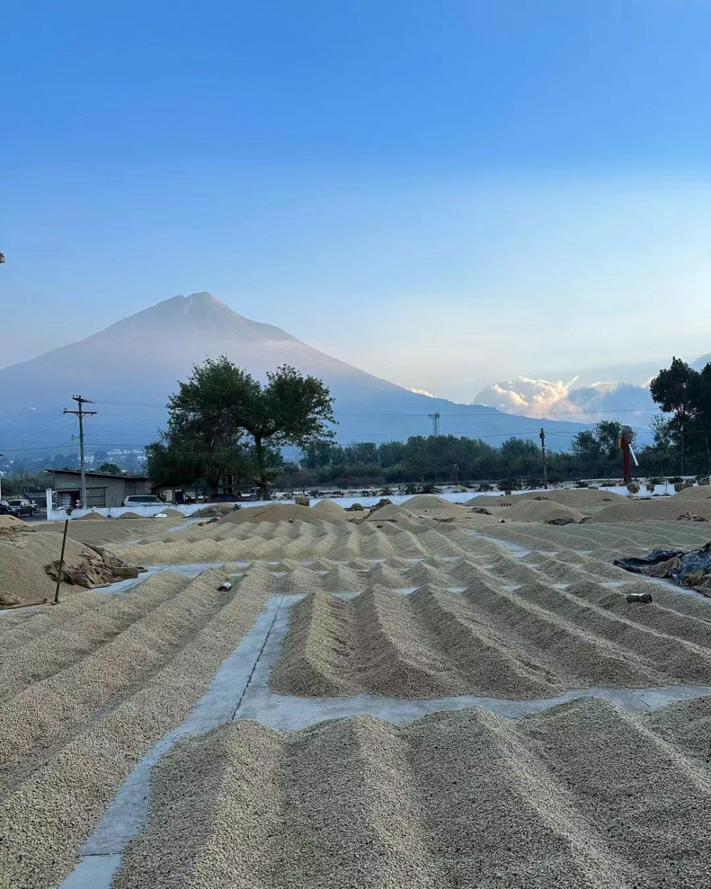 巴西咖啡豆等级划分与风味特点：南米纳斯波旁冲煮水温及手法解析