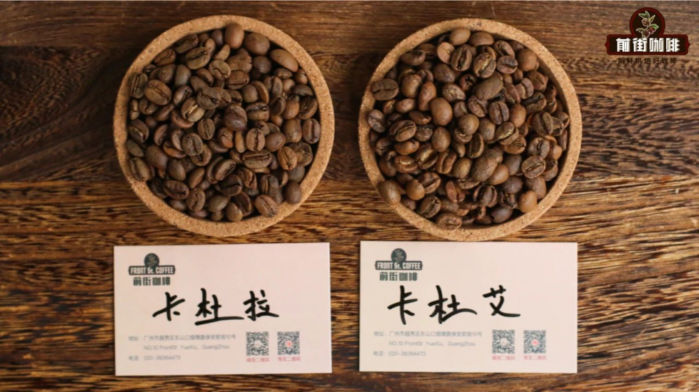 卡杜拉咖啡品种全面解析:从波旁自然变种到中美洲混种采收的缘由与风味特征 卡杜拉咖啡品种全面解析:从波旁自然变种到中美洲混种采收的缘由与风味特征