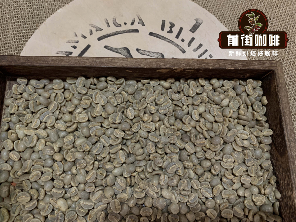 牙买加蓝山咖啡与瑰夏咖啡对比：两大顶级精品豆的产区、等级与风味差异全解析