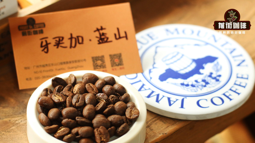 牙买加蓝山咖啡的珍稀密码:从木桶包装到风味品鉴全解析 牙买加蓝山咖啡的珍稀密码:从木桶包装到风味品鉴全解析