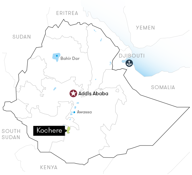 埃塞耶加雪菲沃卡水洗原生种:等级划分标准、市场价位、生豆特征与烘焙程度全解析 埃塞耶加雪菲沃卡水洗原生种:等级划分标准、市场价位、生豆特征与烘焙程度全解析