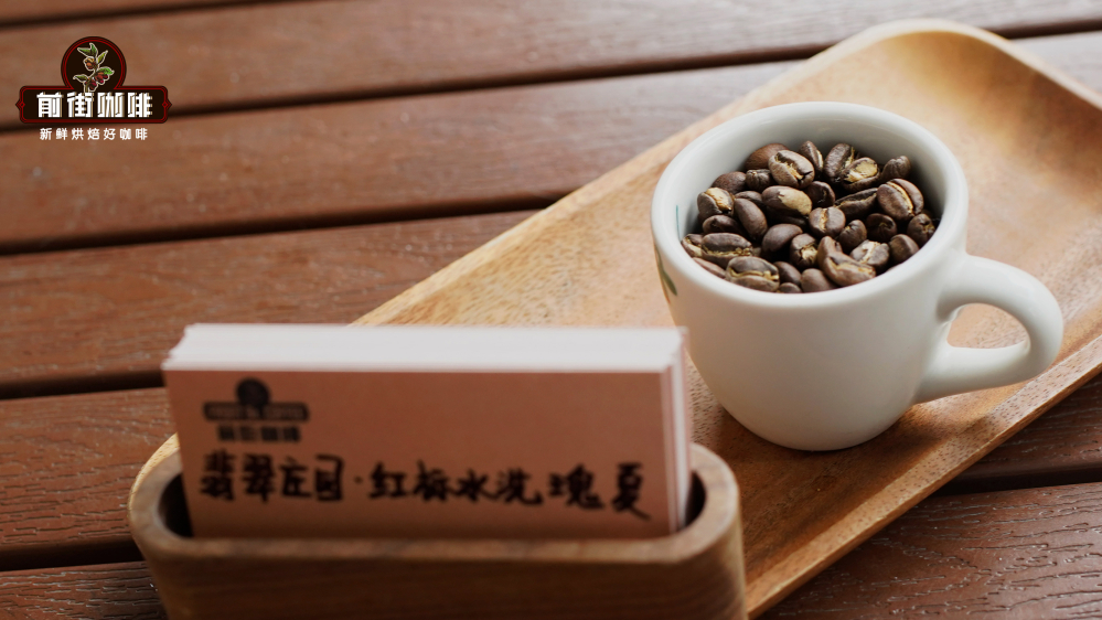 瑰夏咖啡品鉴指南:从正确冲煮方式到风味特色与昂贵原因解析 瑰夏咖啡品鉴指南:从正确冲煮方式到风味特色与昂贵原因解析