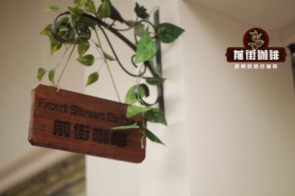 瑰夏咖啡和蓝山咖啡哪款更值得喝？两种顶级豆的风味特点与冲煮对比