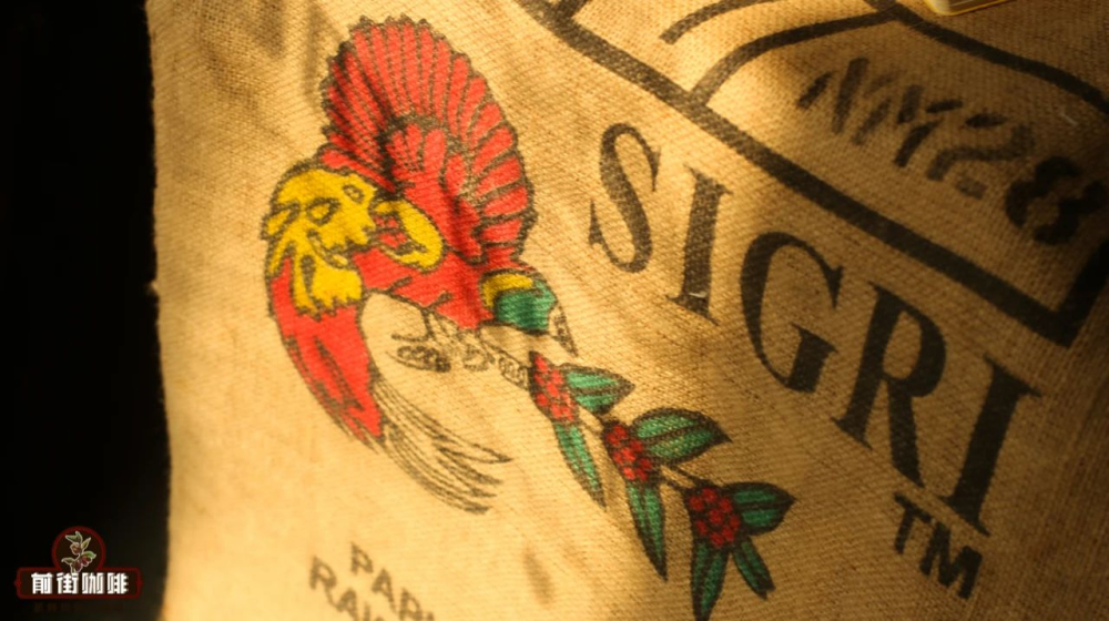 越南罗布斯塔咖啡豆风味解析:从品种特性到前街意式拼配的全面指南 越南罗布斯塔咖啡豆风味解析:从品种特性到前街意式拼配的全面指南