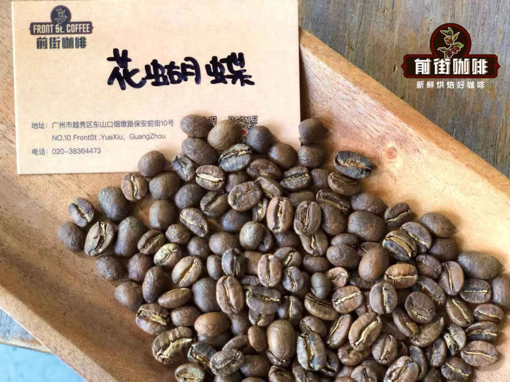 全球六大经典咖啡产区风味解析：从耶加雪菲到巴西皇后庄园的精品豆选购指南
