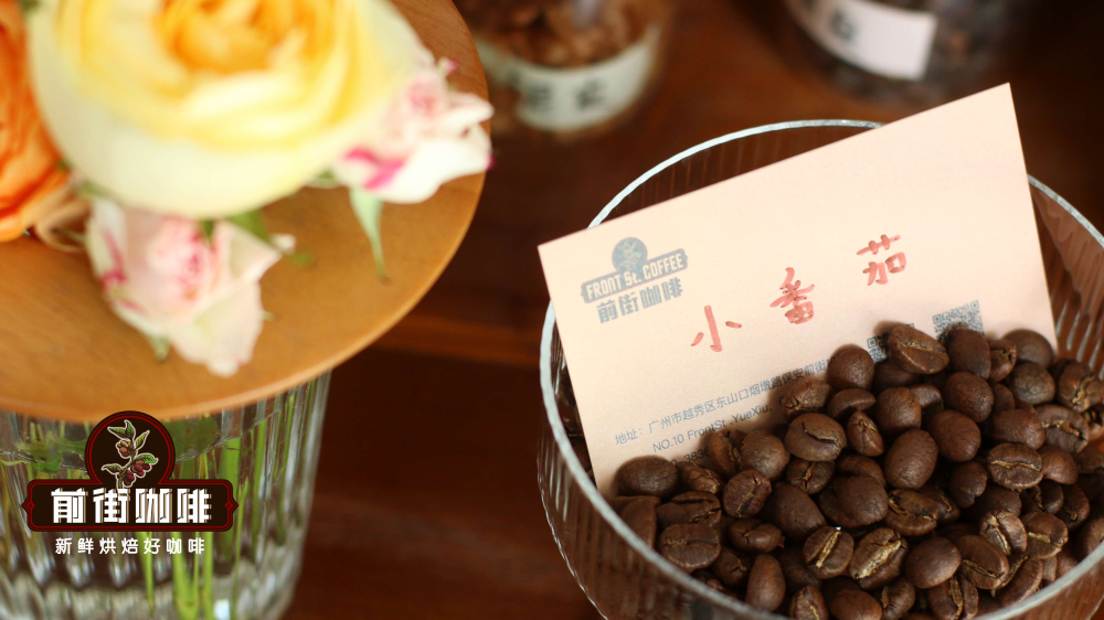 全球六大经典咖啡产区风味解析：从耶加雪菲到巴西皇后庄园的精品豆选购指南