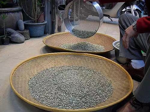 非洲拉美亚洲三大咖啡产区风味差异与处理法解析,兼谈云南咖啡发展 非洲拉美亚洲三大咖啡产区风味差异与处理法解析,兼谈云南咖啡发展