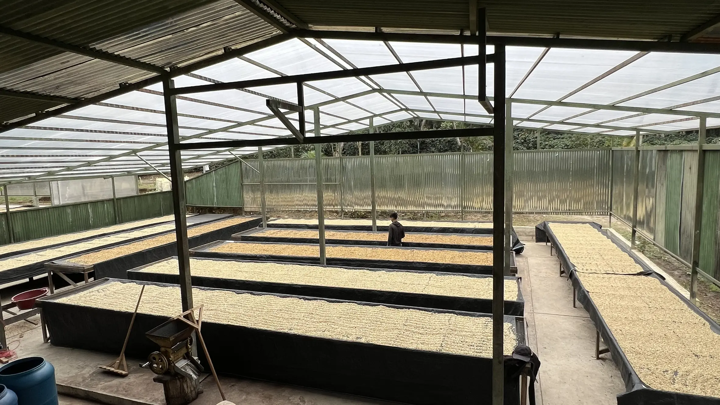 秘鲁咖啡风味与手冲全解析:从卡哈马卡产区到水洗瑰夏的萃取细节 秘鲁咖啡风味与手冲全解析:从卡哈马卡产区到水洗瑰夏的萃取细节
