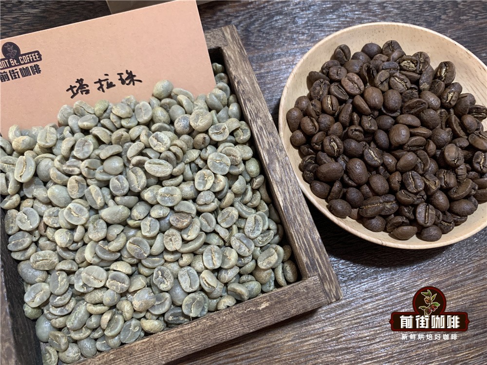 哥斯达黎加塔拉珠咖啡冲煮指南:产区特点、品种风味与手冲参数解析 哥斯达黎加塔拉珠咖啡冲煮指南:产区特点、品种风味与手冲参数解析