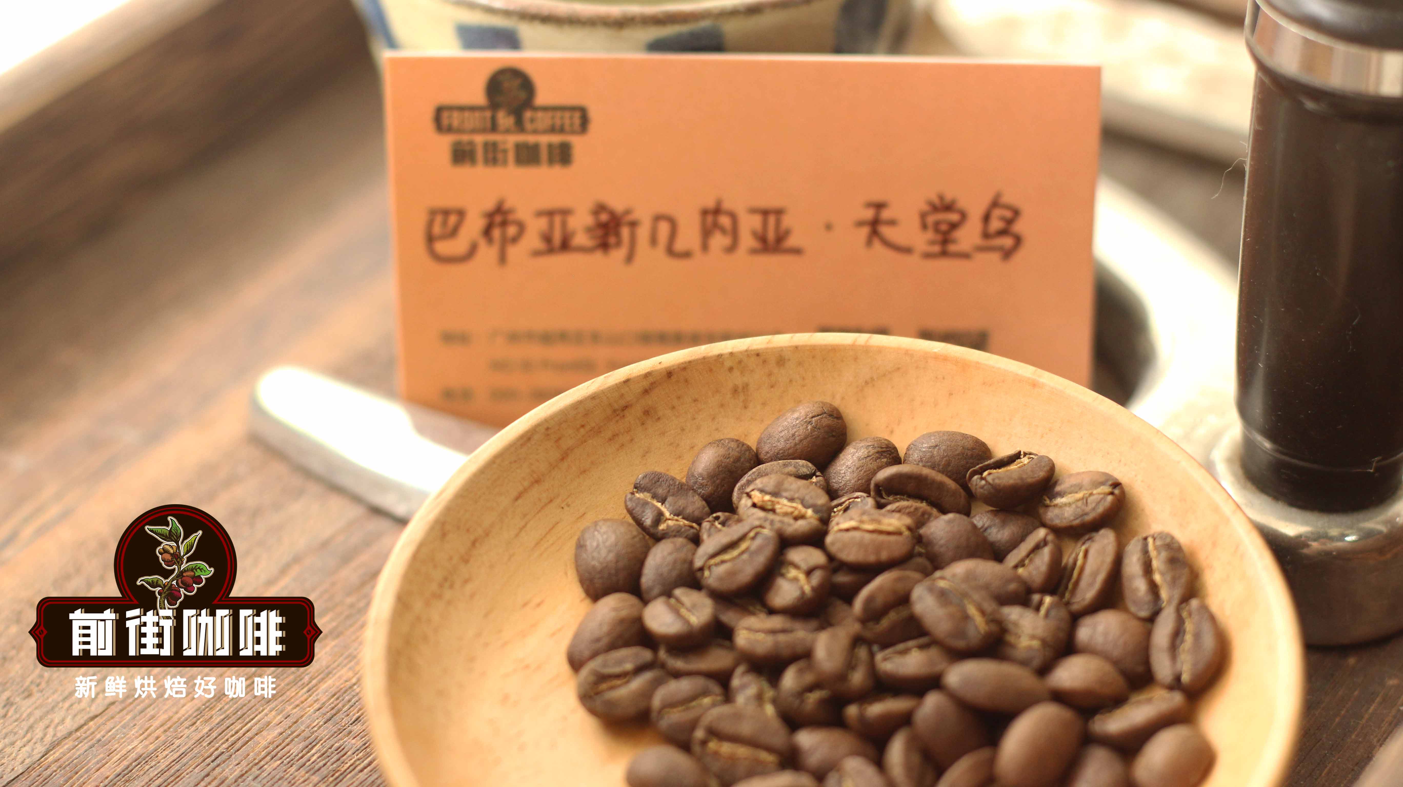 美式滴滤咖啡机适用豆种推荐与研磨度标准及操作流程全解析