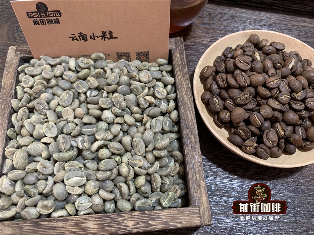 云南小粒咖啡豆风味解析:从铁皮卡到卡蒂姆的品种与产区全览 云南小粒咖啡豆风味解析:从铁皮卡到卡蒂姆的品种与产区全览